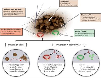 Mechanical Properties in the Glioma Microenvironment: Emerging Insights and Theranostic Opportunities